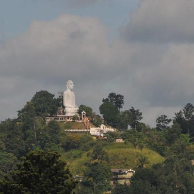 Kandy 1 1