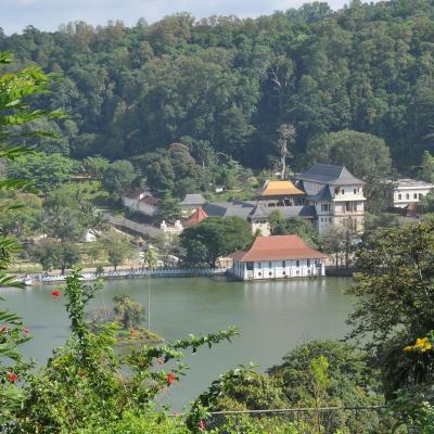 Kandy 1 3