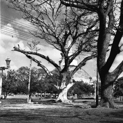 Anuradapura Ancient Pics Mahamewna Uyana Ea 1 0003